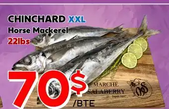Marche Salaberry CHINCHARD XXL offer
