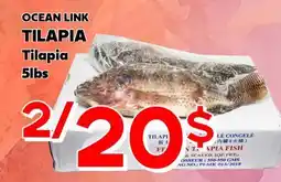 Marche Salaberry OCEAN LINK TILAPIA offer