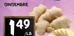 Marche Salaberry GINGEMBRE offer