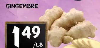 Marche Salaberry GINGEMBRE offer