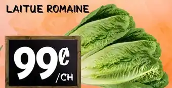 Marche Salaberry LAITUE ROMAINE offer
