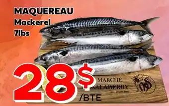 Marche Salaberry MAQUEREAU offer