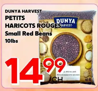 Marche Salaberry DUNYA HARVEST PETITS HARICOTS ROUGES offer