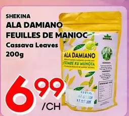 Marche Salaberry SHEKINA ALA DAMIANO FEUILLES DE MANIOC offer