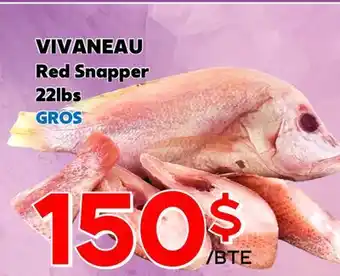 Marche Salaberry VIVANEAU offer