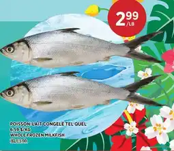 Kim Phat WHOLE FROZEN MILKFISH offer