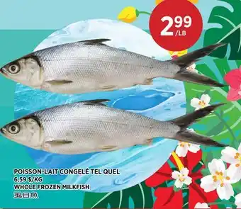 Kim Phat WHOLE FROZEN MILKFISH offer