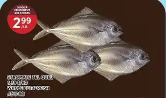 Kim Phat WHOLE BUTTERFISH offer