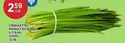 Kim Phat CHIVES offer