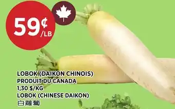 Kim Phat LOBOK (CHINESE DAIKON) offer