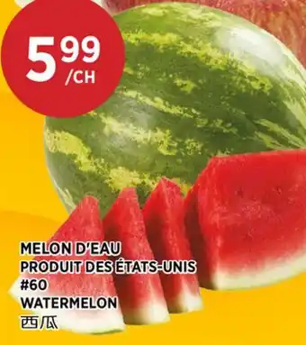 Kim Phat WATERMELON offer