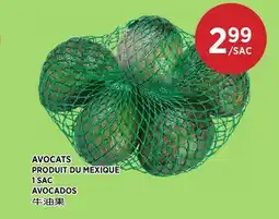 Kim Phat AVOCADOS offer