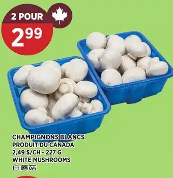 Kim Phat WHITE MUSHROOMS offer