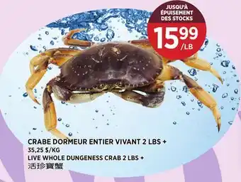 Kim Phat LIVE WHOLE DUNGENESS CRAB 2 LBS + offer