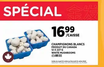 Kim Phat WHITE MUSHROOMS offer