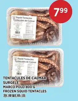 Kim Phat MARCO POLO FROZEN SQUID TENTACLES offer