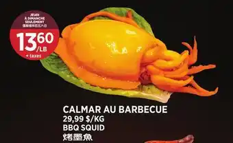 Kim Phat BBQ SQUID offer