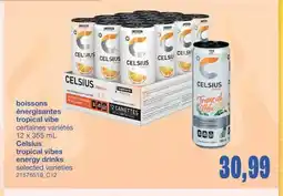 Wholesale Club BOISSONS ÉNERGISANTES TROPICAL VIBE, 12 X 355 ML offer