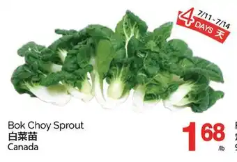 T&T Supermarket Bok Choy Sprout offer
