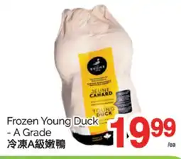 T&T Supermarket FROZEN YOUNG DUCK-A GRADE offer