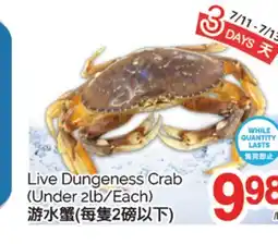 T&T Supermarket LIVE DUNGENESS CRAB offer