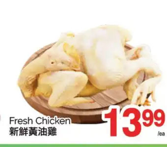T&T Supermarket FRESH CHICKEN offer