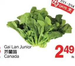 T&T Supermarket GAI LAN JUNIOR offer