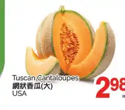 T&T Supermarket TUSCAN CANTALOUPES offer
