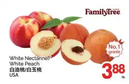 T&T Supermarket WHITE NECTARINE/ WHITE PEACH offer