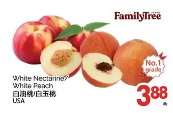 T&T Supermarket WHITE NECTARINE/ WHITE PEACH offer