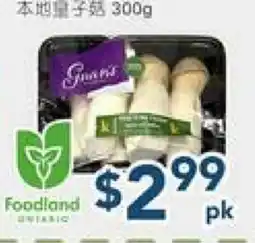 Oceans Fresh Food Market Mini King Oyster Mushroom offer