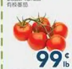 Oceans Fresh Food Market Cluster Tomato offer