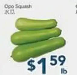Oceans Fresh Food Market Opo Squash offer