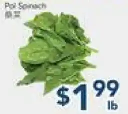 Oceans Fresh Food Market Poi Spinach offer