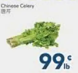 Oceans Fresh Food Market Chinese Celery offer