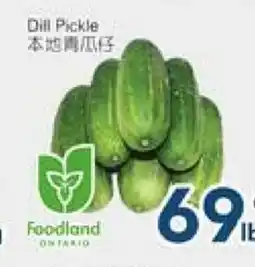 Oceans Fresh Food Market Dill Pickle offer
