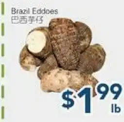 Oceans Fresh Food Market Brazil Eddoes offer