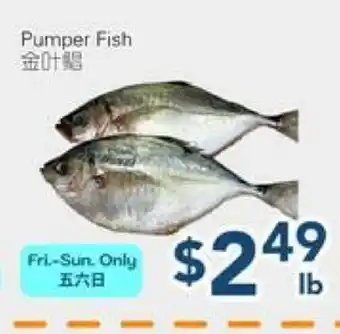 Oceans Fresh Food Market Pumper Fish offer