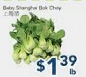 Oceans Fresh Food Market Baby Shanghai Bok Choy offer