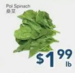 Oceans Fresh Food Market Pol Spinach offer