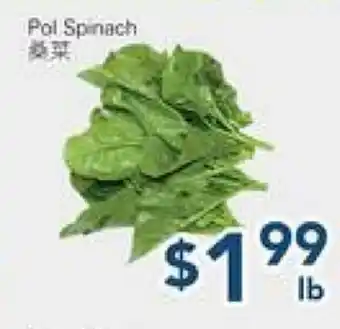 Oceans Fresh Food Market Pol Spinach offer