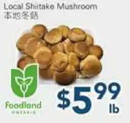 Oceans Fresh Food Market Local Shitake Mushroom offer