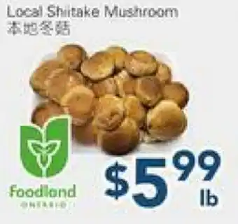 Oceans Fresh Food Market Local Shitake Mushroom offer