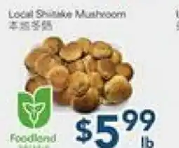 Oceans Fresh Food Market Local Shiitake Mushroom offer