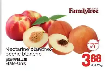 T&T Supermarket NECTARINE BLANCHE/ PÊCHE BLANCHE offer