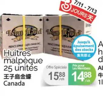 T&T Supermarket HUÎTRES MALPÈQUE, 25 UNITÉS offer