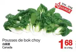 T&T Supermarket POUSSES DE BOK CHOY offer