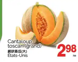 T&T Supermarket CANTALOUP TOSCAN (GRAND) offer
