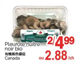 T&T Supermarket PLEUROTE NOIR BIO offer