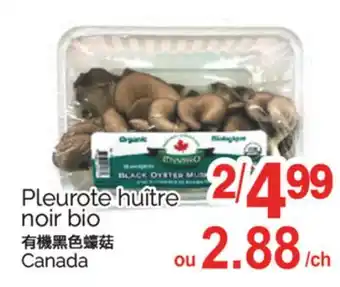 T&T Supermarket PLEUROTE NOIR BIO offer